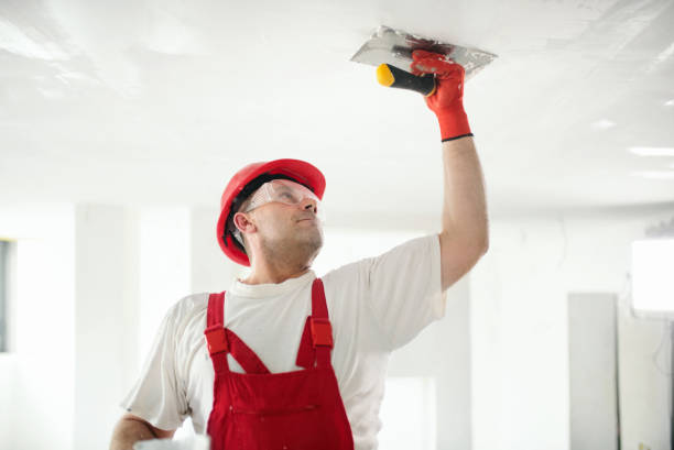 Best Drywall Patching  in Anacoco, LA